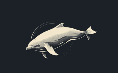 Revolutionize Your Sermon Transcription with Beluga: The Ultimate Outsourced Solution